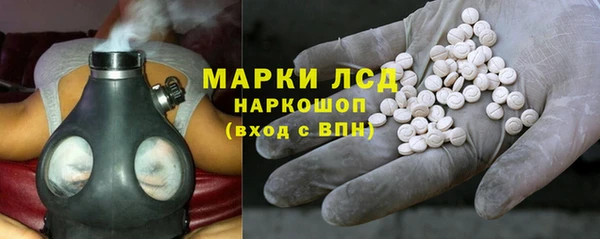 индика Ельня