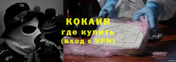 индика Ельня
