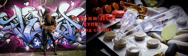 индика Ельня
