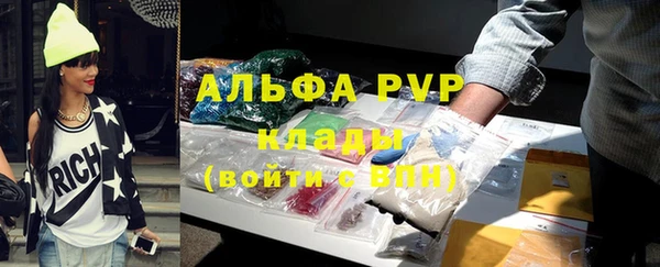 индика Ельня