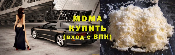 индика Ельня