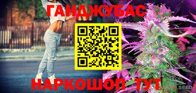 бошки Кимры