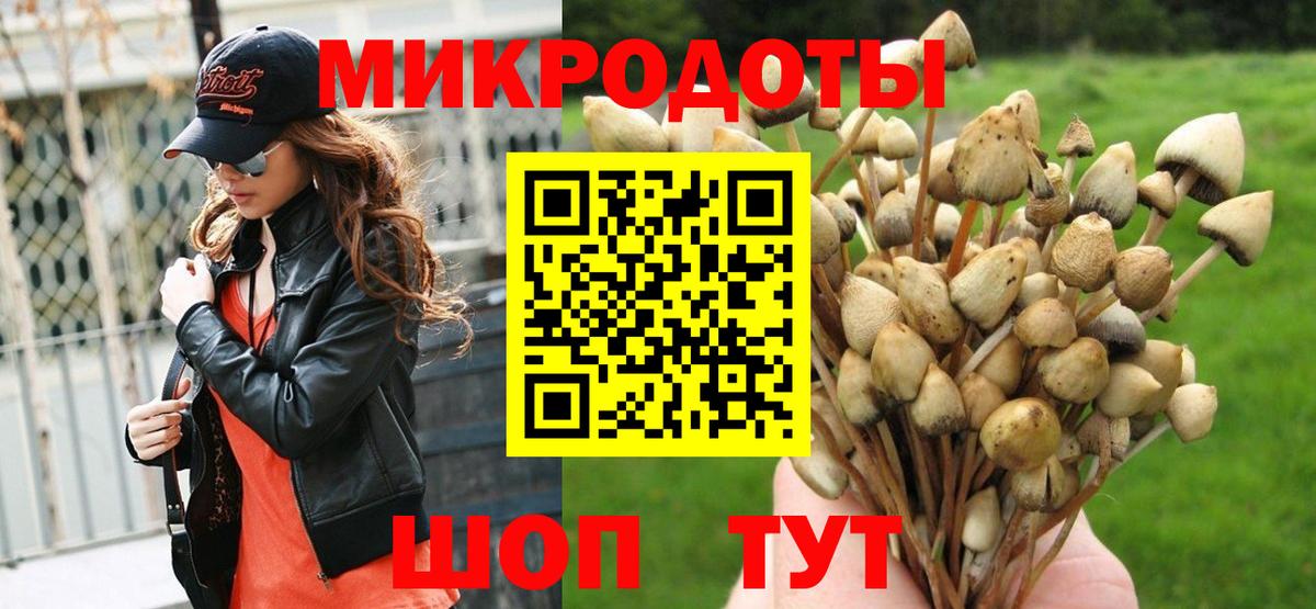 Псилоцибиновые грибы Psilocybe  Вход с VPN  Клинцы 